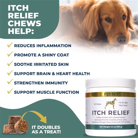 PetScy Calming Aid Dog Soft & Chew Treat, 4. . Petscy reviews